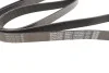 Ремінь П-клиновий Dayco DAYCO 7PK2050 (фото 3)