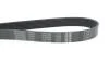 Ремень поликлиновый (пр-во) DAYCO 7PK2365 (фото 4)
