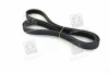 Ремень приводной поликлиновый Dayco DAYCO 7PK2418 (фото 1)