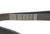 Ремінь генератора поліклиновий DAYCO 8PK1162H (фото 4)