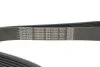 Ремінь генератора поліклиновий DAYCO 8PK1162H (фото 4)