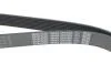 Ремень поликлиновый. DAYCO 8PK2285 (фото 4)