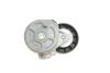 Натягувач ременя CITROEN / FIAT / FORD / LANCIA / PEUGEOT / VOLVO C4 / Scudo / Kuga / Expert / S40 2,0L 03 - DAYCO APV1114 (фото 5)