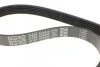 Комплект ремня DAYCO KPV474 (фото 6)