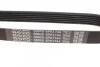 Комплект ремня DAYCO KPV621 (фото 9)