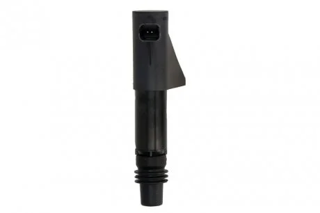 Катушка запалювання Delphi GN1024012B1