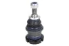 Шаровая опора MERCEDES W163 98- 05 TC2133