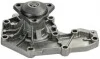 Водяная помпа Renault Kangoo 1.9D / Laguna 1,8I-2.0 16V 94- Denckermann A310011P (фото 1)