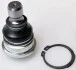 Шаровая опора передняя нижняя Nissan Qashqai / Renault Koleos 1.5dCi-3.5 08.03- D110148