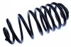 Пружина задн. Renault Kangoo II/Kangoo Express II 1.5dCi/1.6 08- D700419