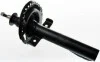 Стойка амортизатора передняя Renault Megane II 1.4-2.0DCI 11.02- / Scenic 04- DSB175O