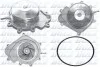 Водяной насос помпа MERCEDES C (W204) / E (W207, W212) / V (W447) OM651 07 - DOLZ M251 (фото 1)
