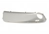 Крышка рамки противотуманной фары; лива; с отверстием DPA 88070575902 (фото 3)