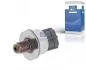 Елемент системи Common Rail 1224240