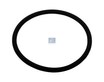 Ущільнювальне кільце DT 4.20133 (фото 1)