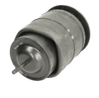 Подушка амортизуюча DT 7.12034