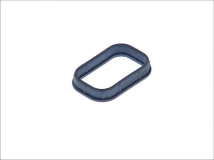 Прокладка колектора Ford 2.0DI / 2.0TDI / 2.4DI 00- ELRING 027.150