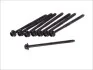 Комплект болтов ГБЦ SKODA / VW / SEAT 1,2 02- ELRING 061330 (фото 1)
