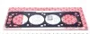 Прокладка головки блока цилиндров OPEL Astra, Combo 1,6 00- ELRING 470364 (фото 1)