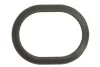 Кільце ущільнювач PORSCHE 07- ELRING 482260 (фото 1)