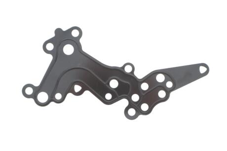 Прокладка натягувача ланцюга газорозподільного механізму ELRING 493.870 (фото 1)