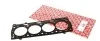 Прокладка головки блока цилиндров SEAT / VW 1,4 95-04 531281