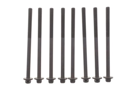 Болти головки блоку циліндрів (комплект) ELRING 593.520