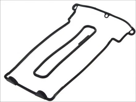Комплект прокладок клапанної кришки BMW 5 (E39), Z8 (E52) 4.9 10.98-12.03 ELRING 711990