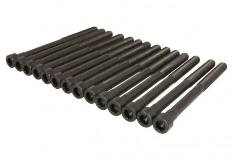 Комплект болтів ГБЦ MB / SSANGYONG C-E-G-S-Class W140, W202, W124, W210 2,8-3,2 M104 ELRING 759640 (фото 1)