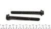Комплект болтов ГБЦ FIAT 1,1-1,4 PUNTO 75 S SX 93- ELRING 760720 (фото 3)