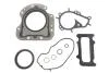 Комплект прокладок блоккартер двигуна CITROEN/DS/OPEL/PEUGEOT C3/DS/Corsa/208 "1,0-1,2 "12>> 779190