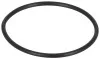 Кільце гумове 72,6 x 3,5 / FPM RD SH70 795460