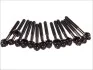 Комплект болтов ГБЦ BMW 3 (E46, E39), 5 (E60, E34) ELRING 802801 (фото 1)