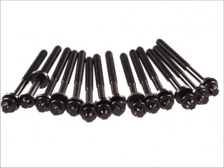 Комплект болтів ГБЦ BMW 3 (E46, E39), 5 (E60, E34) ELRING 802801