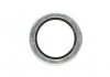 Уплотнительное кольцо пробки поддона Renaul Megane III 1,5DCI 834823