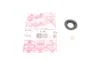 Набір ущільнень CITROEN JUMPER II  FIAT DUCATO  FORD TRANSIT, TRANSIT TOURNEO  PEUGEOT BOXER 4HU(P22DTE)-UHFC 04.06- 875.760
