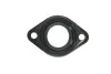 Прокладка (для форсунки в кришці рокерів) HONDA CIVIC VII OPEL ASTRA G, ASTRA G CLASSIC, ASTRA G/KOMBI, ASTRA H, ASTRA H GTC, ASTRA H/KOMBI, COMBO TOUR, COMBO/MINIVAN 1.7D 01.02- ENGITECH ENT250389 (фото 2)