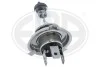 Автомобільна лампа H4 12V 60/55W P43t E006SD-1C