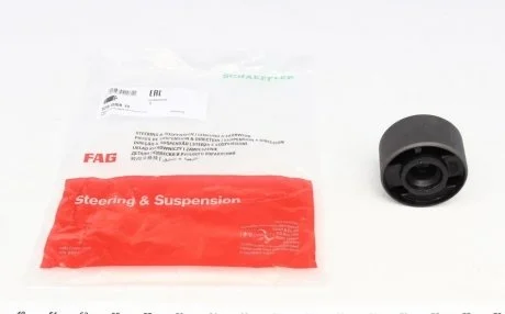 Рычаг сайлентблока BMW FAG 829 0008 10
