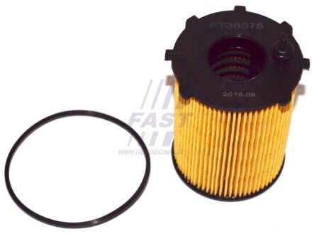 Фільтр масляний (вставка) PSA Berlingo/C3/C4/Partner/207/307/Ford Fiesta/Focus 1.4-1.6HDi 04- FAST FT38075