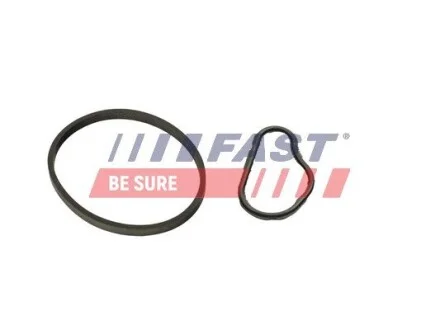 К-кт прокладок вакуум. насос (к-кт 2шт) CITROËN BERLINGO 1.6HDi 08- FORD TRANSIT CONNECT 1.5/1.6TDCi 13- PEUGEOT RIFTER 1.6HDi 18- FAST FT48943