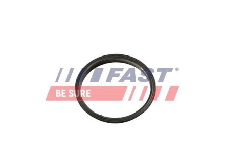 Прокладка вакуумного насоса Fiat Ducato/ Peugeot Boxer/Ford Transit 2.2HDi/TDCi 06- FAST FT49853