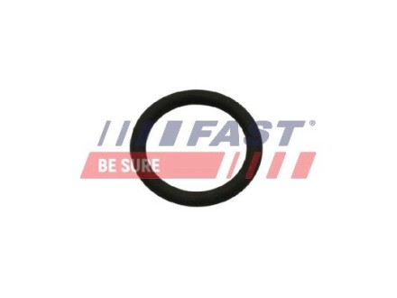 Прокладка Клапану Egr Fiat Ducato 14 2.0 Jtd FAST FT50601