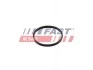 Прокладка клапана EGR VW CADDY 2.0TDI 14- FAST FT50602 (фото 1)