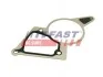 Прокладка вакуумного насоса Fiat Ducato/ Peugeot Boxer/Ford Transit 2.2HDi/TDCi 06- FT50703