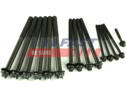 К-кт болтів ГБЦ FIAT DUCATO 3,0D 06- IVECO DAILY 3.0D 99- CITROËN JUMPE 3.0D 06- FAST FT51503