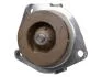 Водяная помпа Fiat Bravo II / Doblo / Ducato 1.6D MultiJet / 2.0D MultiJet / Opel Astra H / J / Insignia / Zafira 1.9CDTI / 2.0CDTI 09.04- FAST FT57153 (фото 1)