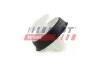 Кліпса оббивки дверей Citroen C2, C4 Picasso, C8, Jumpy III Peugeot 207, 407, 807, Expert II Renault Clio III, Espace IV, Kangoo II, Megane II, Modus, Scenic II, Vel Satis FT96309