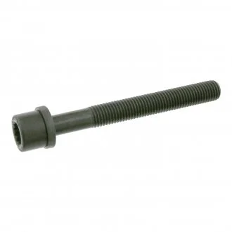 Болт головки циліндра VW Golf / VW Passat / Audi 80 FEBI BILSTEIN 06666
