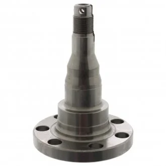 Поворотный кулак VW Golf / VW Passat / VW Polo FEBI BILSTEIN 08340